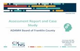Assessment Report and Case Study · 2019. 7. 20. · SWOT ANALYSIS ADAMH Board of Franklin County & Netcare Access People ... Limited electronic data sharing with community mental