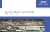A Fly-tipping Free Wales – Our strategy for tackling fly-tipping · 2019. 8. 23. · Fly-tipping Action Wales works closely with the Welsh Government, statutory organisations, voluntary