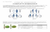 TYPES OF INHERITANCE - WordPress.com...2016/06/09  · 9.2.1 - Resource Page 5 TYPES OF INHERITANCE CO-DOMINANCE Co-dominance occurs when the contributions of both alleles are visible