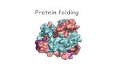 Protein folding 2011. 5. 10.¢  Protein folding. Centrala Dogmat DNA RNA Protein. Anfinsensklassiska