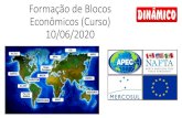 Formação de Blocos Econômicos (Curso) 10/06/2020€¦ · blocos ou países. • O MERCOSUL trouxe, também, propostas para integração das políticas ambientais entre os seus