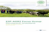 Permanent Grassland - European Commission · utilisation issue o Missing the profitability of the farm. Search for less time consuming activity's to increase profitability. Remark: