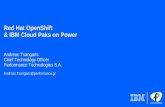 New Red Hat OpenShift & IBM Cloud Paks on Power · 2020. 6. 29. · Red Hat OpenShift and IBM Cloud Paks on Power Systems Accelerate digital transformation by unleashing the open