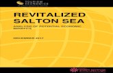 REVITALIZED SALTON SEA · also a popular tourist attraction, before fluctuating water levels undermined development. More recently, the conditions of the Salton Sea have been degraded
