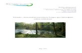 Tehniski ekonomiskais pamatojums Langas upes hidroloģiskā …baltijaskrasti.lv/wp-content/uploads/2016/07/Langas-upe... · 2016. 9. 2. · 1. Langas upes vispārējs raksturojums
