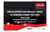 REGULATION FOR FINTECH - WHAT...2017/03/30  · FinTech Directive • Body copy here • “Fintech is a big new part of our financial services industry in Ireland. We need to be prepared