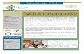 Citizen Centric Report FY 2012Page 2 GEDA Citizen Centric Report FY 2012 The Guam Economic Development authority was successful in numerous activities in this audit period. Successes
