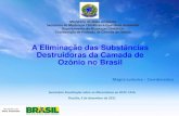 A Eliminação das Substâncias Destruidoras da Camada de ......Destruidoras da Camada de Ozônio no Brasil Magna Luduvice –Coordenadora Seminário Atualização sobre as Alternativas