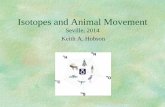 Isotopes and Animal Movement - CSICebd.csic.es/IsotopeCourse/Conferences/HOBSON3.pdfIsotopes and Animal Movement Seville, 2014 Keith A. Hobson Primary Goals of Migration Research Evolution