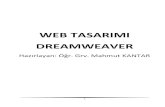 WEB TASARIMI DREAMWEAVERProfesyonel bir web sitesi kullanıcı odaklı olmalıdır. Web sayfasının hızını düşürecek animasyonlar, bekleme süreçleri, video ve ses nesneleri