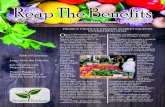 Reap The Benefits - WordPress.com · 2016. 11. 14. · Reap The Benefits Project Produce, Volume 1, Issue 1, Fall 2016 Project Produce. O ne year ago, my grandparents had just moved