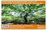 Heksenboom gaat voor europees goud · 2020. 1. 23. · Heksenboom Bladel | een levende legende Deze geweldige boom is genomineerd voor de Europese Tree of the Year verkiezing 2020.