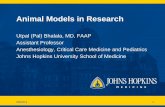 Animal Models in Research - Johns Hopkins Hospital · Categories of Animal Models in Research 8/6/2014 7 Induced Model Healthy animal in which condition is induced Spontaneous Model