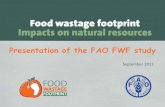 Presentation of the FAO FWF study · 2013. 9. 9. · FWF model Indicators The environmental footprint of food wastage is assessed through 4 indicators Carbon Water Land Biodiv. CO