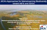 JICA’s Approaches for Mainstreaming Biodiversity toward ABTs … · 2017. 1. 30. · JICA’sApproaches Enhancement of livelihood of local communities through promotion of green