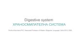 Digestive system - DEOS / ДЕОСdeos.mu-sofia.bg/remote_edu_bulgarian/kuncheva/digestive...Намира се в малкия таз и междинницата (perineum). Разделя