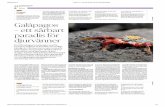 Page 34 | 10.06.2018 | Hufvudstadsbladet...2018/08/10  · Aventura, Kilroy Travels och Olympia erbjuder resepaket till Galápagos). ta sig med arbetet som görs för sköldpaddorna.