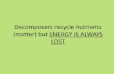 New Decomposers recycle nutrients (matter) but ENERGY IS … · 2018. 8. 29. · Decomposers recycle nutrients but ENERGY IS ALWAYS LOST . Stable ecosystems have a continual input