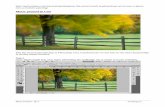Met het nieuwe gereedschap in Photoshop CS5, transformeren we …photoshop.seniorennet.be/Reeks 28/Pdf/mixerpenseel.pdf · 2012. 6. 18. · Mixer Penseel - blz 5 Vertaling Gr Stap