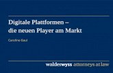 Digitale Plattformen die neuen Player am Markt · Die neuen Player am Markt 3. Schweizer IT Juristinnen Tag 25.8.2020 ... Gatekeeper Steuern den Zugang zur Plattform Sie bieten die