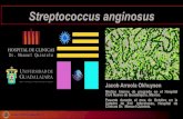 Streptococcus anginosus...TC TÓRAX Y ABDOMEN (1era 19/09/19): confirmo los hallazgos previamente descritos en la Rx, pero además nivel de abdomen, se reporto un quiste complejo en