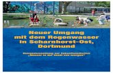 Ein tollEr Blickfang ist diE mEhrköpfigE WassErschlangE, üBEr diE … · 2017. 8. 8. · Neuer Umgang mit dem Regenwasser in Scharnhorst-Ost, Dortmund Beispielsammlung zur Zukunftsinitiative