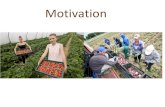 Motivation - TOPAS · Hygiene/Motivation •Hygiene factors. Do not lead to motivation but without them dissatisfaction (working conditions, salary status, the organisation, its management,