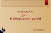 Infección por Helicobacter pylori · Helicobacter pylori Beatriz Rodríguez Vaz MIR C.S. Sárdoma ... Anemia ferropénica refractaria a tratamiento con hierro (la erradicación mejora