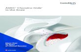 AMIC Chondro-Gide in the Knee€¦ · effective in repairing chondral or osteo-chondral defects in the knee, talus, and hip.11,12,21 The Benefits of Using AMIC® Chondro-Gide® With