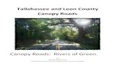 Tallahassee and Leon County Canopy RoadsTallahassee and Leon County are known for our beautiful Canopy Roads and they are a big part of our unique and beautiful charm. Huge moss‐draped