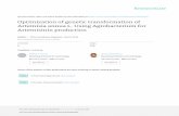 Optimization of genetic transformation of Artemisia annua ...sith.itb.ac.id/wp-content/uploads/sites/56/2018/01/... · Background: Artemisinin, a sesquiterpene lactone endoperoxide