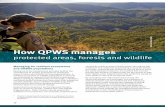 How QPWS manages - Protected Area Sprotectedareas.com.au/wp-content/uploads/2013/04/how-qpws-man… · Robert Ashdown, DERM Adam Creed, DERM The Fleay’s barred frog Mixophyes fleayi