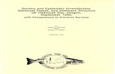 BENTHIC AND EPIBENTHIC INVERTEBRATES, DEMERSAL … · Benthic invertebrates and sediments were collected at 34 stations, primarily located along three transects (Fig. 1). The first