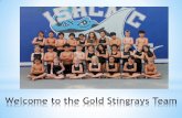 Silver Stingrays Team Pare… · Oct 10, 2015 BIS Invitational BIS, HCMC Optional Own Oct 29-31, 2015 UNIS Invitational UNIS, Hanoi Optional Own Nov 13/14, 2015 ISPP Invitational