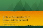 Role of Silviculture in Forest Managementcourses.washington.edu/fm323/notes/ForestMgt-Role-of-Silv.pdf · Role of Silviculture in Forest Management ESRM 323 – Practical Silviculture