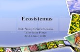 Ecosistemas - jennifer286.files.wordpress.com€¦ · Ecosistemas Prof. Nancy Gómez Rosario Taller Inter Ponce 22-24 Junio 2009. Objetivos •Analizar las interrelaciones que ocurren