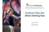 Facebook Video Ads: What’s Working Now · Facebook Video Stats •51% of marketing professionals worldwide name video as the type of content with the best ROI. •Marketers who
