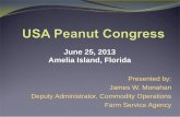 June 25, 2013 Amelia Island, Florida - Peanut Shellers · Amelia Island, Florida Topics for Discussion DACO Organization Procurements for Domestic Feeding Programs 2012 Crop Production