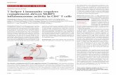 IMMUNE REGULATION T helper 1 immunity requires ......aad1210-2 17 JUNE 2016• VOL 352 ISSUE 6292 sciencemag.org SCIENCE Fig. 1. Autocrine activation of C5a receptors regulates IFN-g