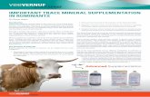 veeVERNUF stockSENSE...Supplementation Malnutrition and mineral deficiencies in particular have long been recognized as a cause of poor performance and disease in production animals7,36,37,