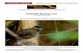PANAMA Birding Tour · Tropical Birding - Trip Report PANAMA: The Best of Tropical America - February 2019 +1-409-515-9110 info@tropicalbirding.com p.4 February 1st Arrival day in
