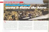 mais - agriculturadeprecisao.org.br · colheita de milho, é bom lembrar do tempo em que se semeava milho com espaçamento de 1,0 a 1,1 m. Nos anos 80, se estabeleceu que os bons