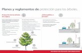 Planes y reglamentos de protección para los árboles....Planes y reglamentos de protección para los árboles. Protección de los árboles de Calgary ¿Árbol público o privado?