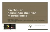 Psycho-en neurolinguïstiek van meertaligheidhomepages.vub.ac.be/~estruys/Microsoft PowerPoint... · –Is leeftijd van taalverwerving een kritieke factor? –Ja, voor L1. Nee, voor