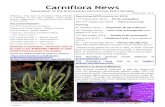 201509 Carniflora News DRAFT V2 - WordPress.com€¦ · A selection of the best photos will be used in the 2016 calendar. Plant Lovers Fair, Kariong Plant Lovers Fair at Kariong,
