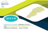 Skills gap analysis of El-Metn - COSV · Skills gap analysis of El-Metn1 District Industrial Sector Executive Summary Introduction 03 Methodology 05 Socio-Economic and political framework