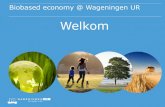 Biobased economy @ Wageningen UR · Wetenschappelijke en strategische vragen BbE Hoe kan integraal, optimaal en duurzaam de Biobased Economy worden ontwikeld? •Op locaal, regionaal,