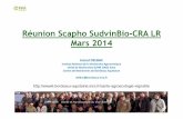 Réunion Scapho SudvinBio-CRA LR Mars 2014...Réunion Scapho SudvinBio-CRA LR Mars 2014 Scaphoïdeus titanus, vecteur de la Flavescence dorée J. Chuche UMR 1065 SAVE thèse 2007 -2010