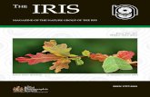 MagazINe of The NaTure group of The rps Issue No. 117 ...The MagazINe of The NaTure group of The rps IrIs Issue No. 117 Winter 2013-2014 ISSN 1757-2991 Scarce Green Silverlines by