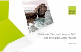 The Brexit Effect on European TMT and the Digital Single ...f.datasrvr.com/fr1/516/90691/The_Brexit_Effect_on_European_TMT_… · – E-Commerce – Audio-visual Media Services (AVMS)